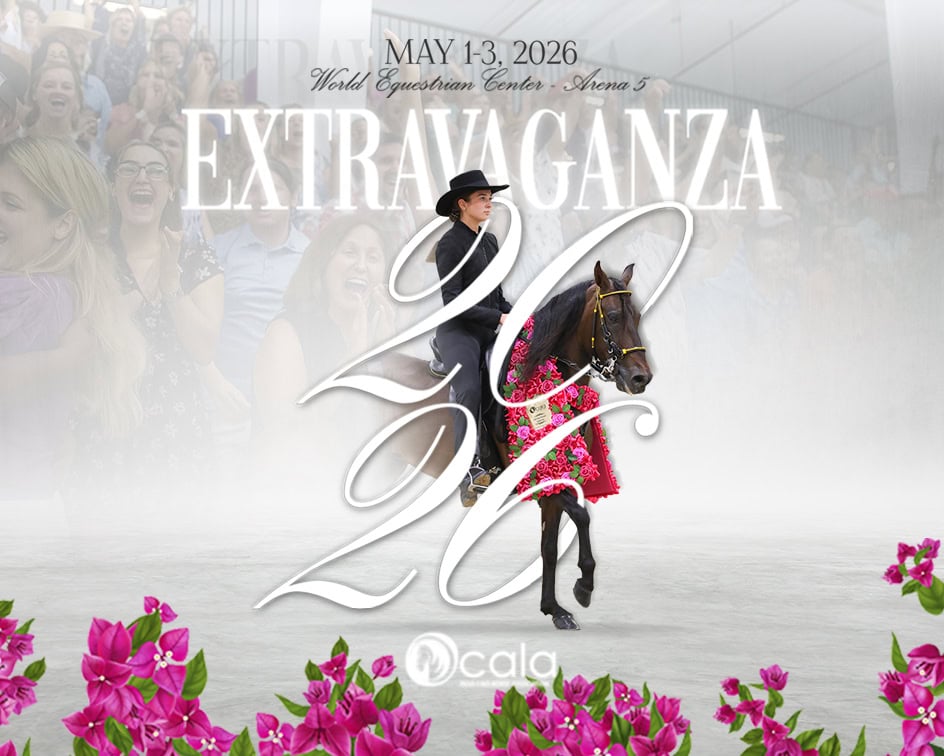 A rider in black attire performs on a dark horse decorated with red flowers at an arena event. Text reads 