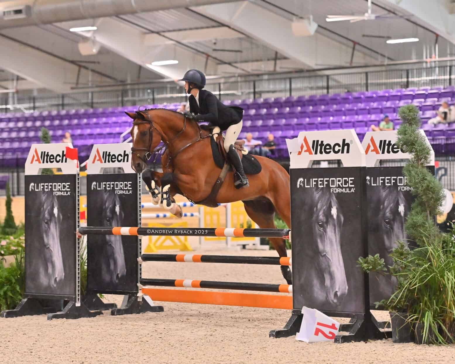 A rider in formal equestrian attire jumps a brown horse over an obstacle during an indoor show jumping competition.