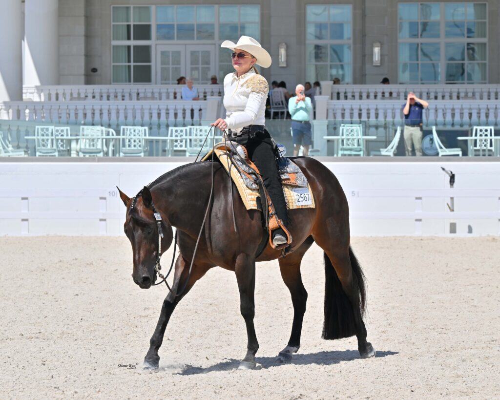 A person in a white shirt, hat, and sunglasses rides a dark horse in an outdoor arena, with a white building and spectators in the background.