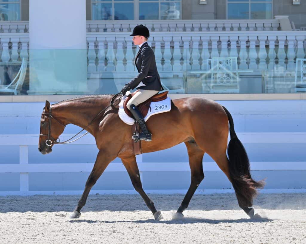 A rider in equestrian attire guides a brown horse with a white marking on its leg in an outdoor arena during a competition.