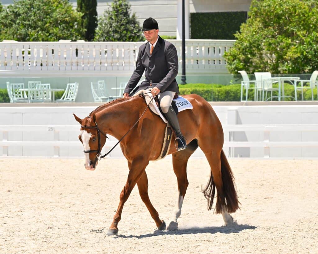 A man in formal riding attire is riding a brown horse with a white stripe on its face in an outdoor arena with white fencing and green foliage in the background.