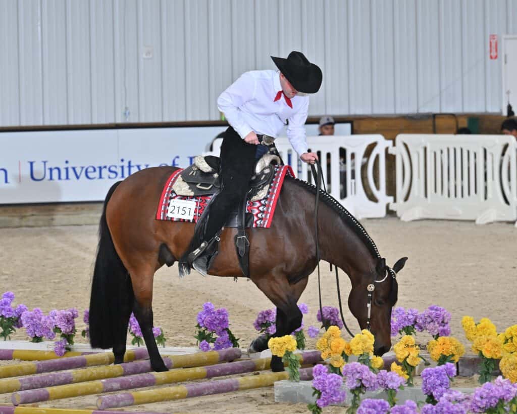 A rider in a white shirt and black hat guides a horse over a pole course decorated with yellow and purple flowers inside an indoor arena.