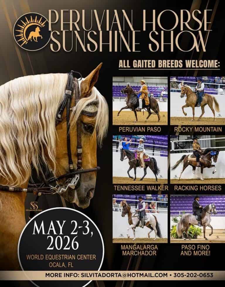 Promotional poster for the Peruvian Horse Sunshine Show, May 2-3, 2026, Ocala, FL, featuring various gaited horse breeds with event details.