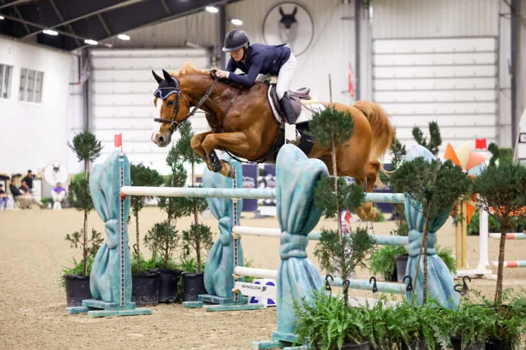 A rider in equestrian gear guides a horse over a jump in an indoor show jumping competition.