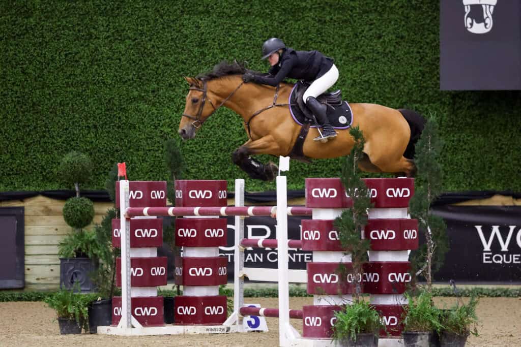 A rider in black attire and helmet jumps a brown horse over a red and white obstacle during an indoor equestrian competition.