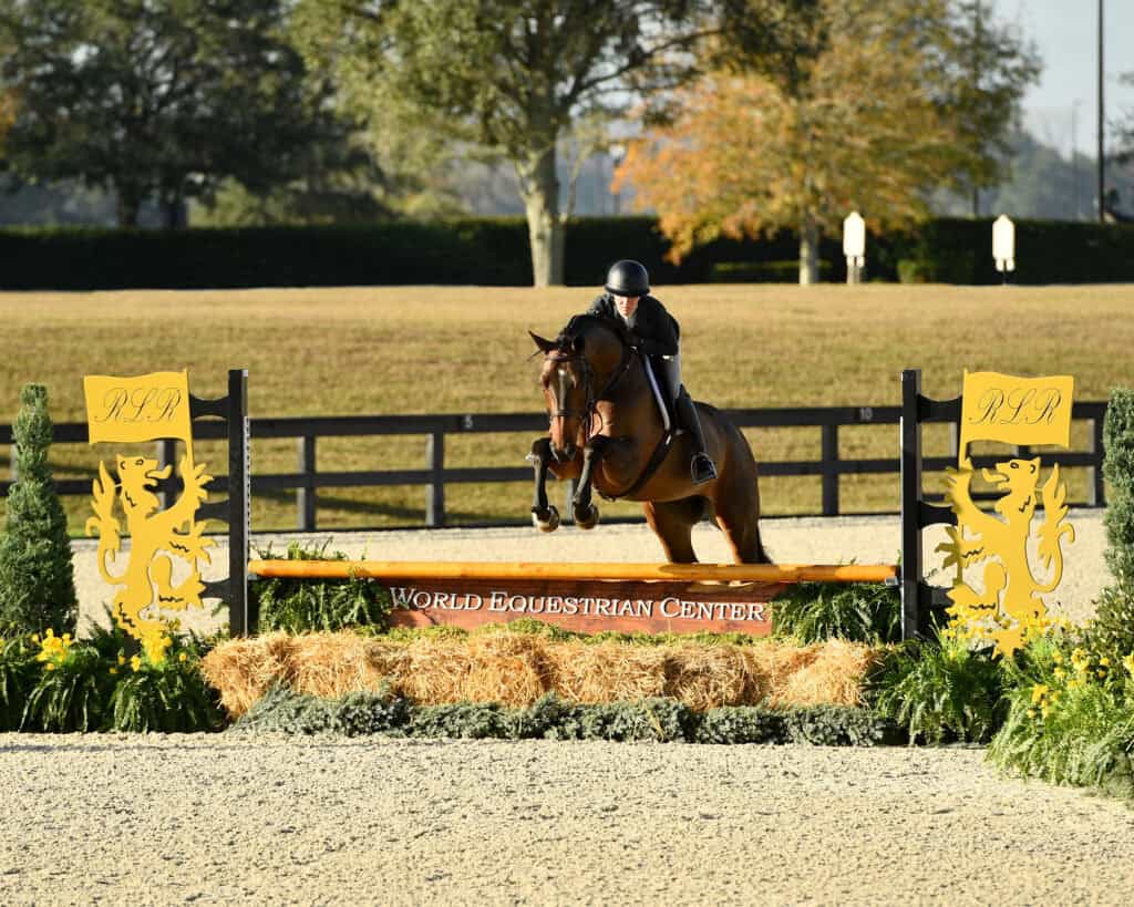A horseback rider jumps over an obstacle labeled 