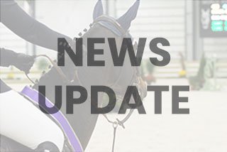 How to Choose the Right Supplement for Your Horse