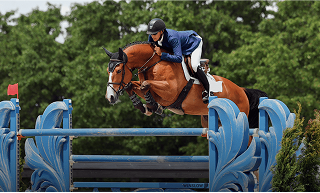 Save the Date: All For The Horses Expo Returns to World Equestrian Center – Ocala February 13-15, 2026  Post Thumbnail
