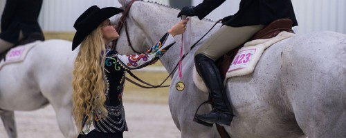 horse shows