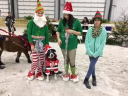 Elves and dog