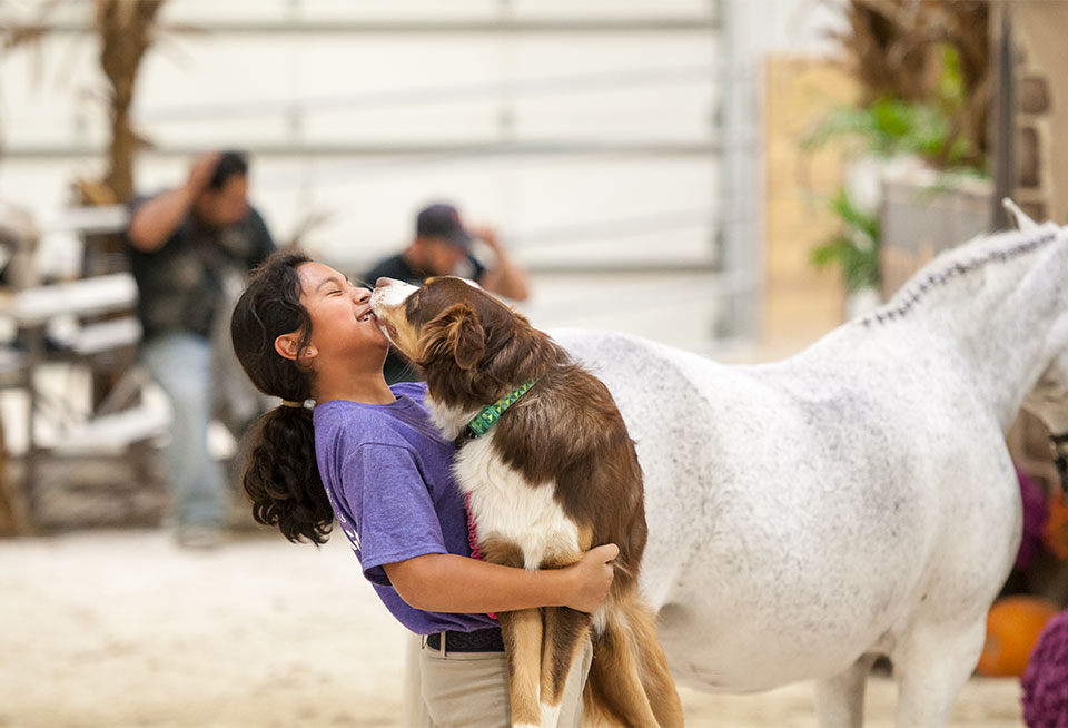 World Equestrian Center Wilmington Equestrian Center WEC