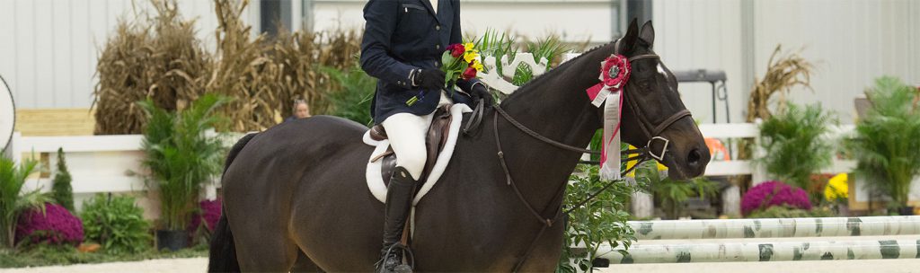 world-equestrian-center-exhibitors-horse-show-prize-list-wec