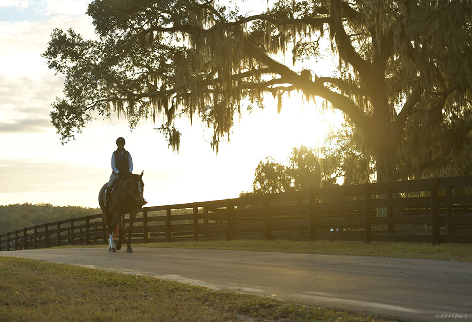 World Equestrian Center Ocala - World Equestrian Center