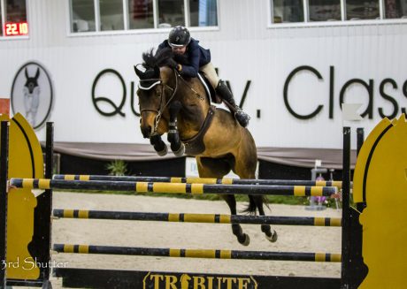horse and rider amateur jump
