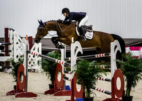 brown horse and rider place third after jumps