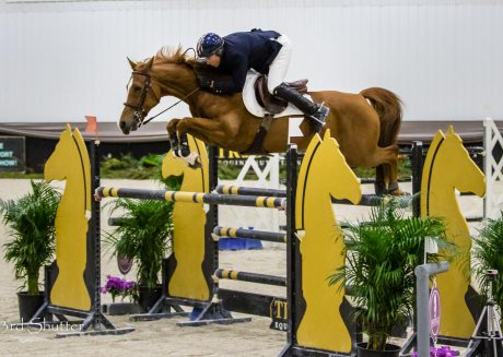 chestnut horse makes horse show jump