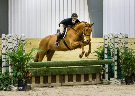 horse displays top jumping form