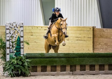 horse flying over horse show fence