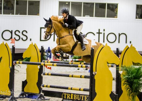 rider makes horse show jump