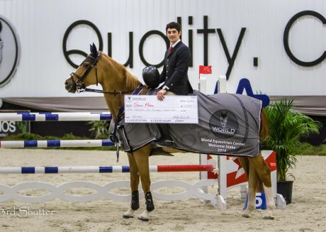 horse and rider collect check