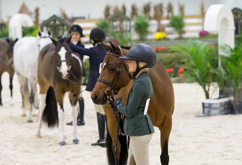 World Equestrian Center Wilmington Equestrian Center WEC