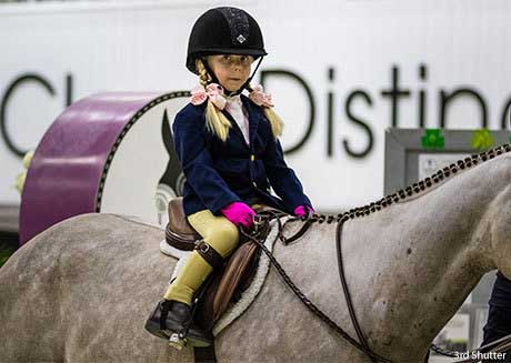 equestrian clothing near me