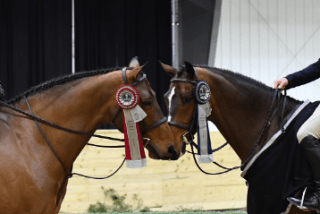 The Berrys Ride to a One-Two Victory in the $...