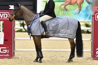 Ireland’s David O’Brien Takes Top...