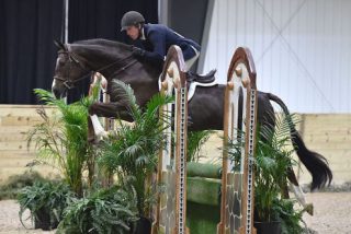 David Beisel & Abudabi Emerge Victorious ...