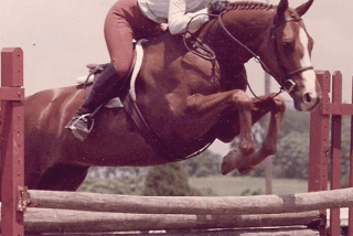Sunday Spotlight: Aimee Kemper