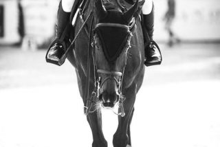 Sunday Spotlight: Raquel Scharyj