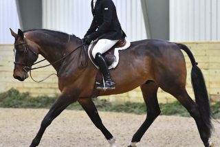 Week #13’s $2,500 USHJA National Hunter...