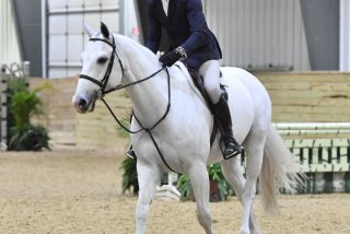 Jeff Gogul and Snowbird Top the $2,500 USHJA ...