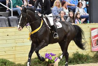 Sunday Spotlight: Elyse Batista