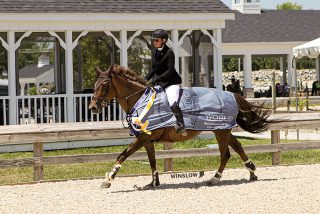 Featured Finds at World Equestrian Center: Wi...