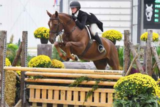 World Equestrian Center Ohio Features “Swee...