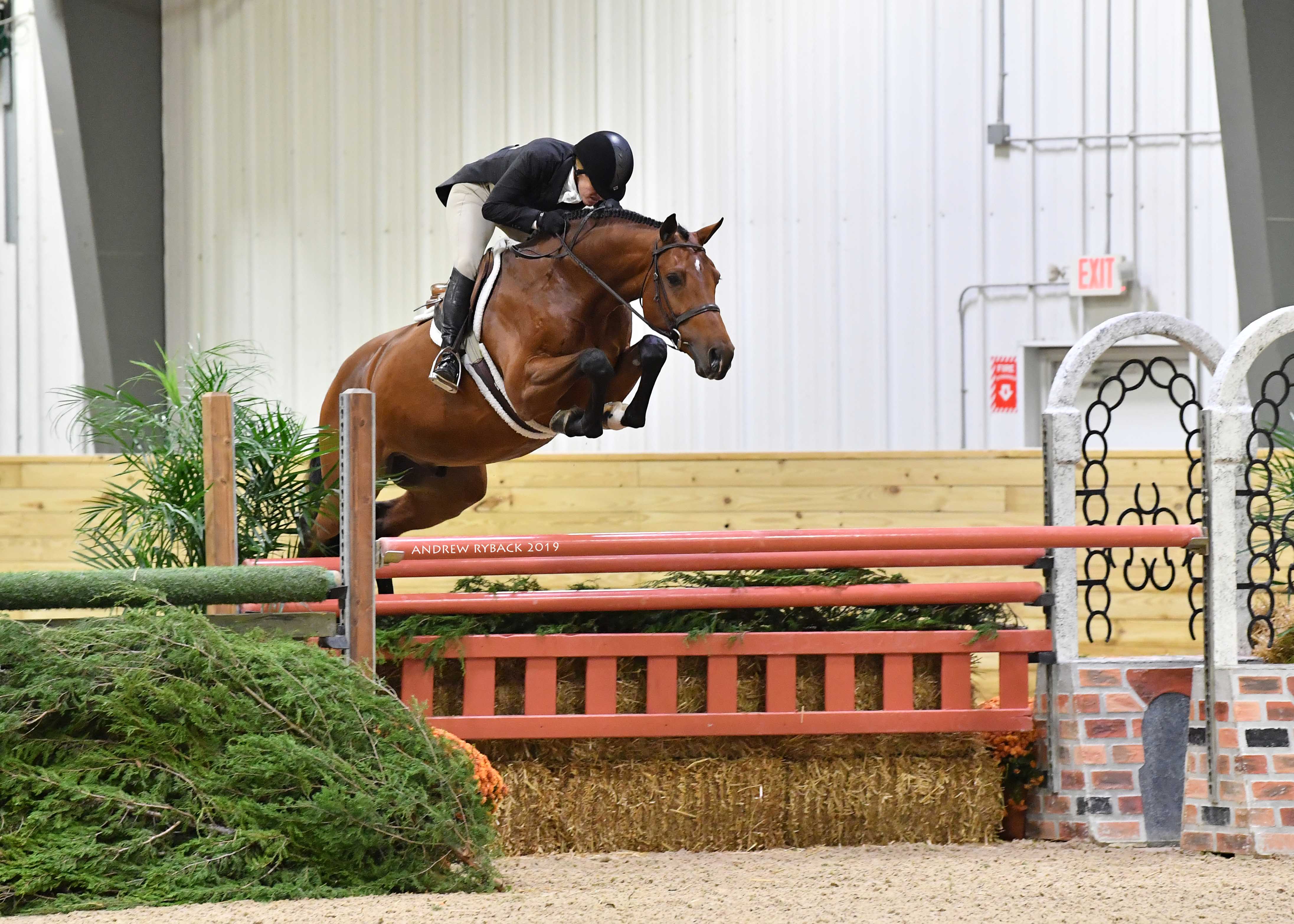Greg Crolick and Corallo in Hunter World Take Top Equestrian the - Center International Honors Derby Z USHJA $40,000