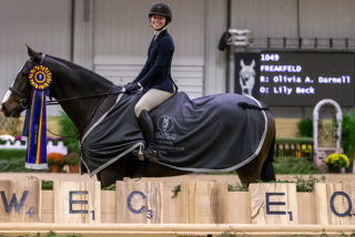 World Equestrian Center Fall III Horse Show H...