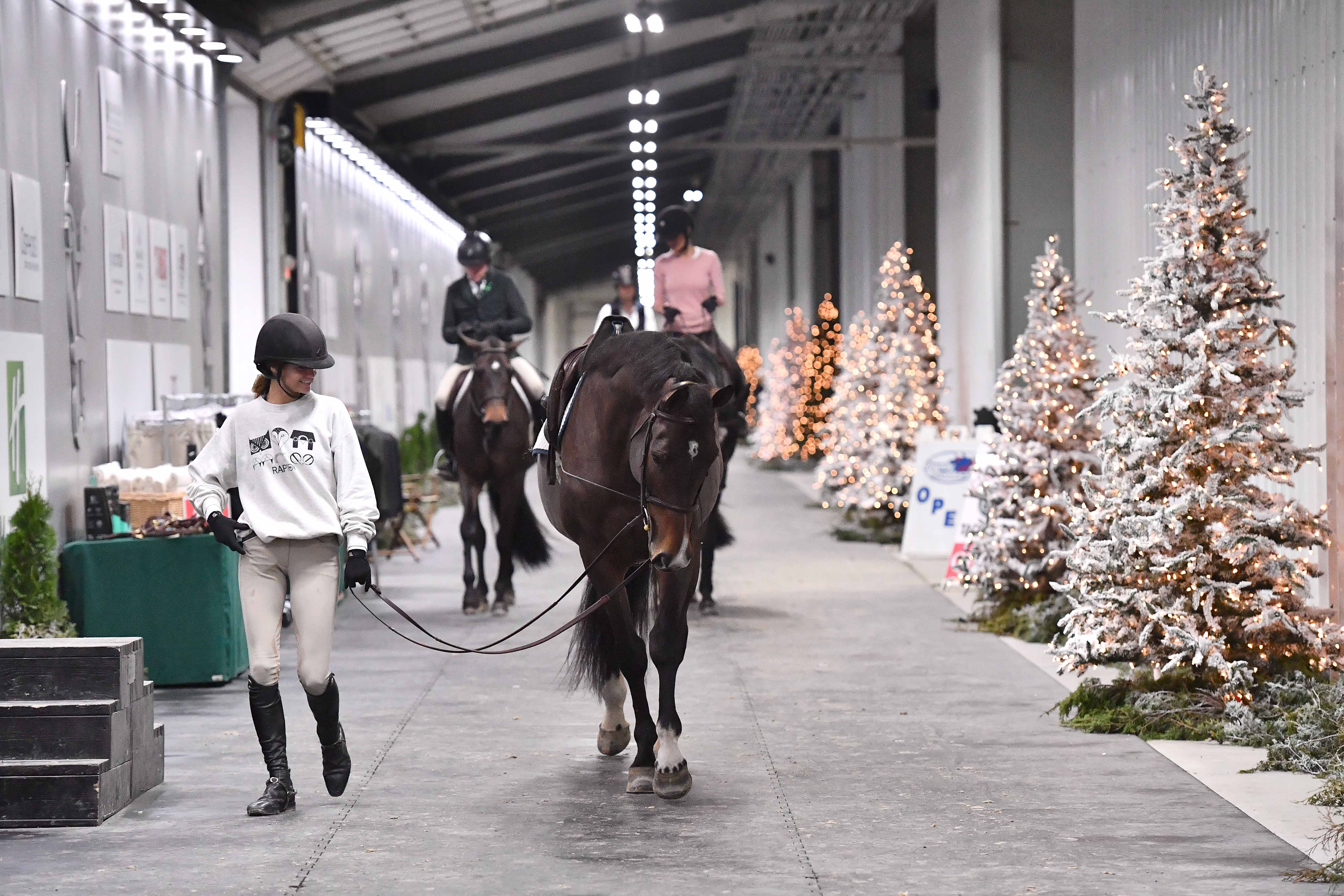 What’s Happening at WEC Winter Classic I World Equestrian Center