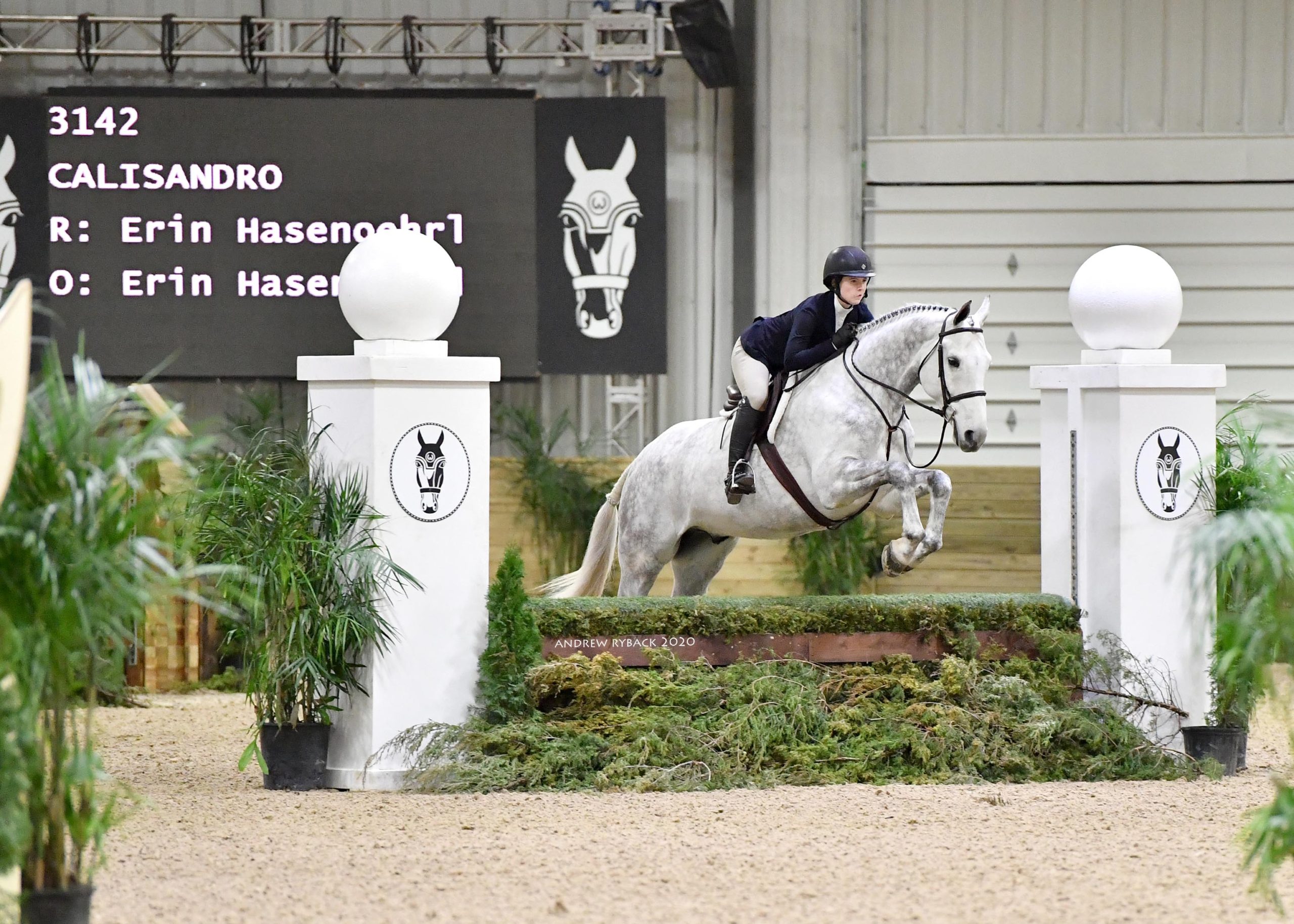 Sunday Spotlight: Erin Hasenoehrl - World Equestrian Center