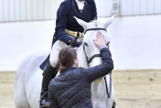 Danielle Grice and High Life Earn Top Honors ...