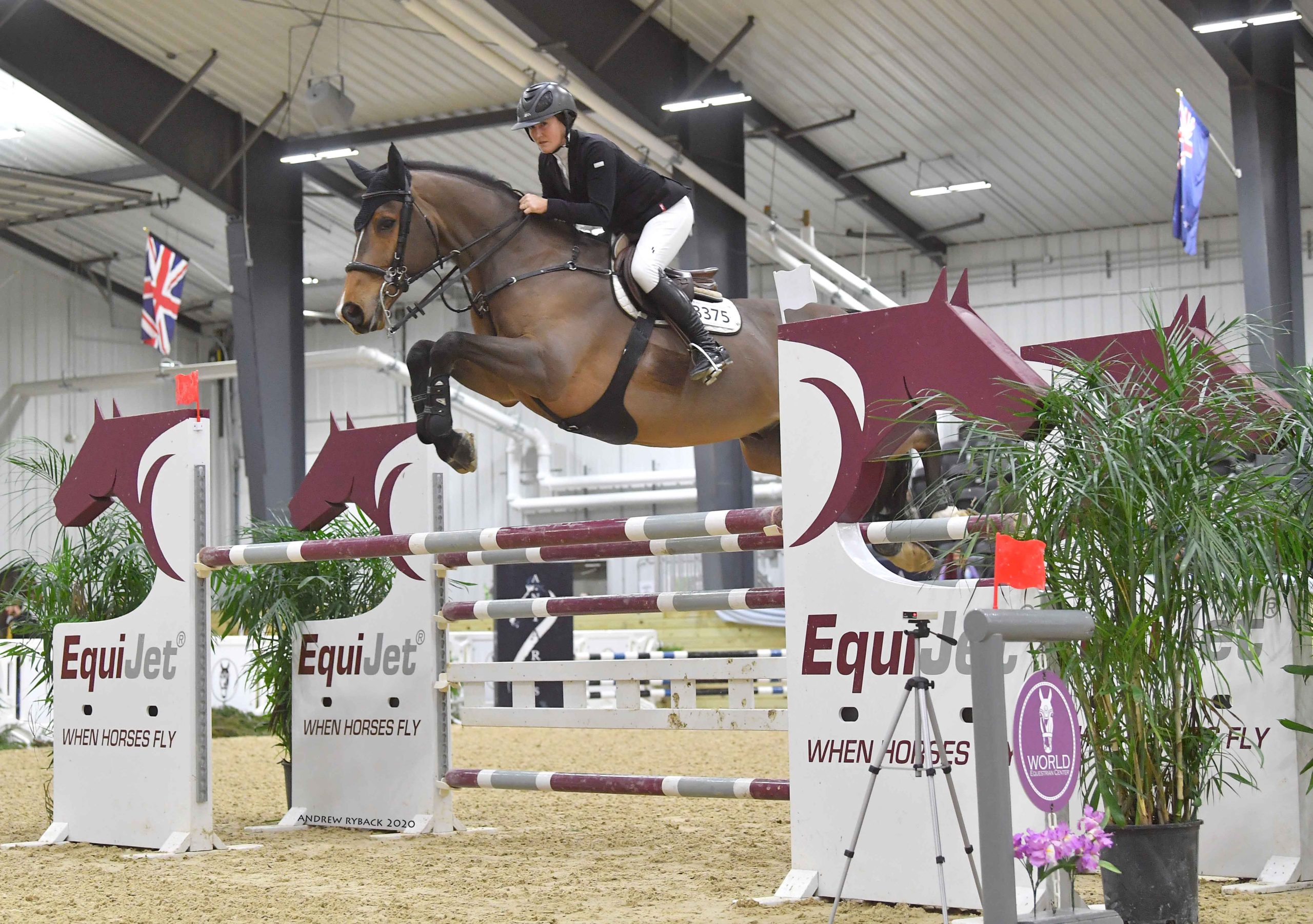 Perfect riding. Пинк хорсе Белгород. World Equestrian Center. Гамбургское дерби конкур. WEC Equestrian Centre.