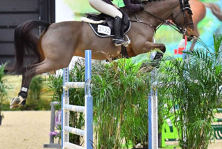 An Afternoon of Sweet Victories for Nicole Lo...