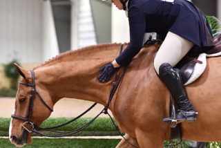 Anna Schierholz and Constellation Shine Brigh...