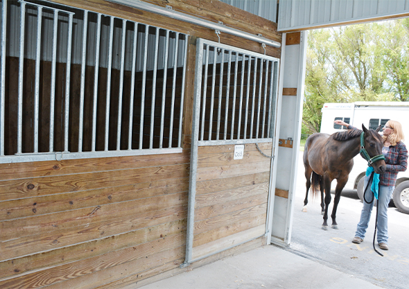 wilmington equestrian stabling barn entrance horse entering