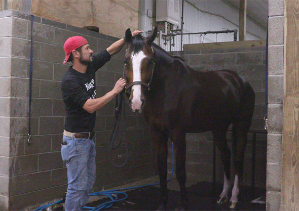 wilmington equestrian stabling wash racks man with horse