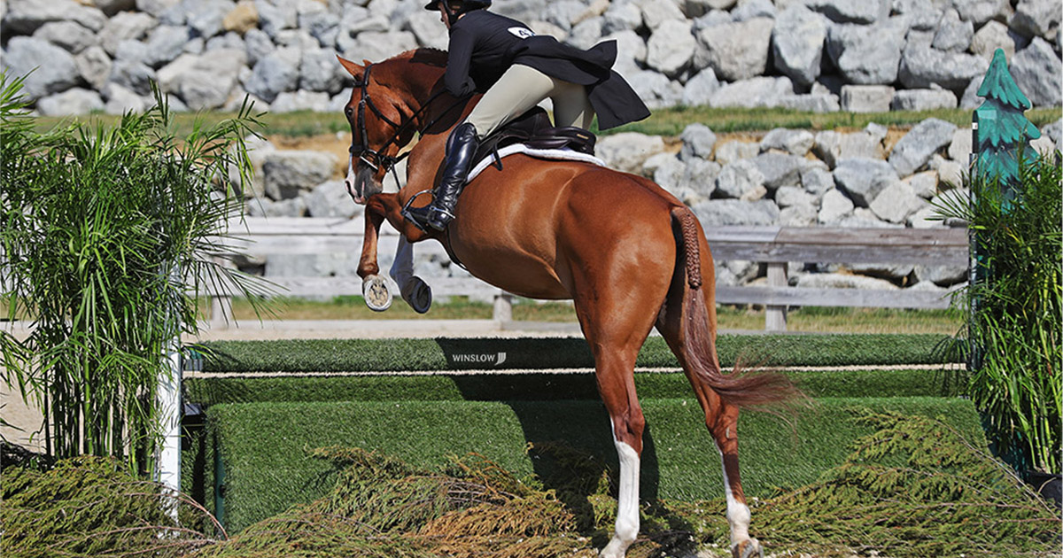 Sunday Spotlight Derby Day at World Equestrian Center World