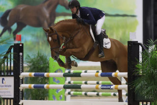 Another Win for Ryan Genn & VDL Gerinus T...