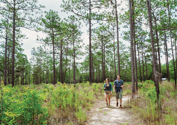 ocala nature trails man and woman walking