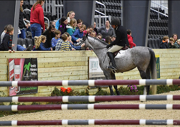 Wilmington Equestrian Events